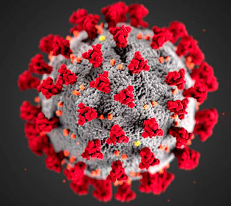 Información de New York y la situación relativa al coronavirus