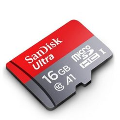 Tarjetas SD y Micro SD