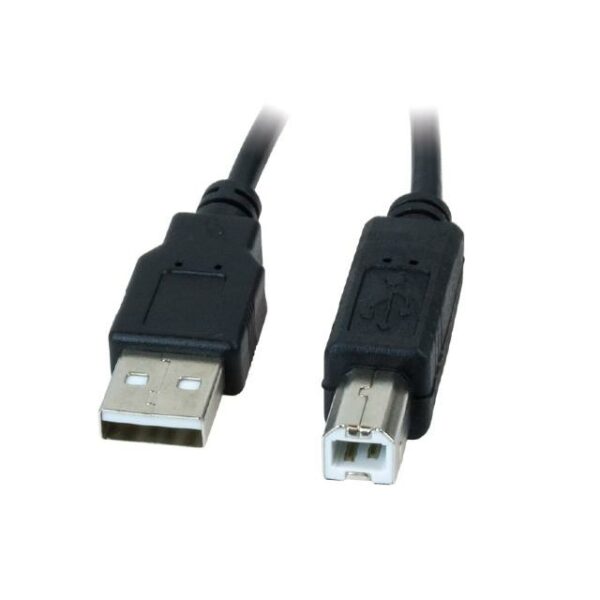 Usb type a x4 usb type b что это